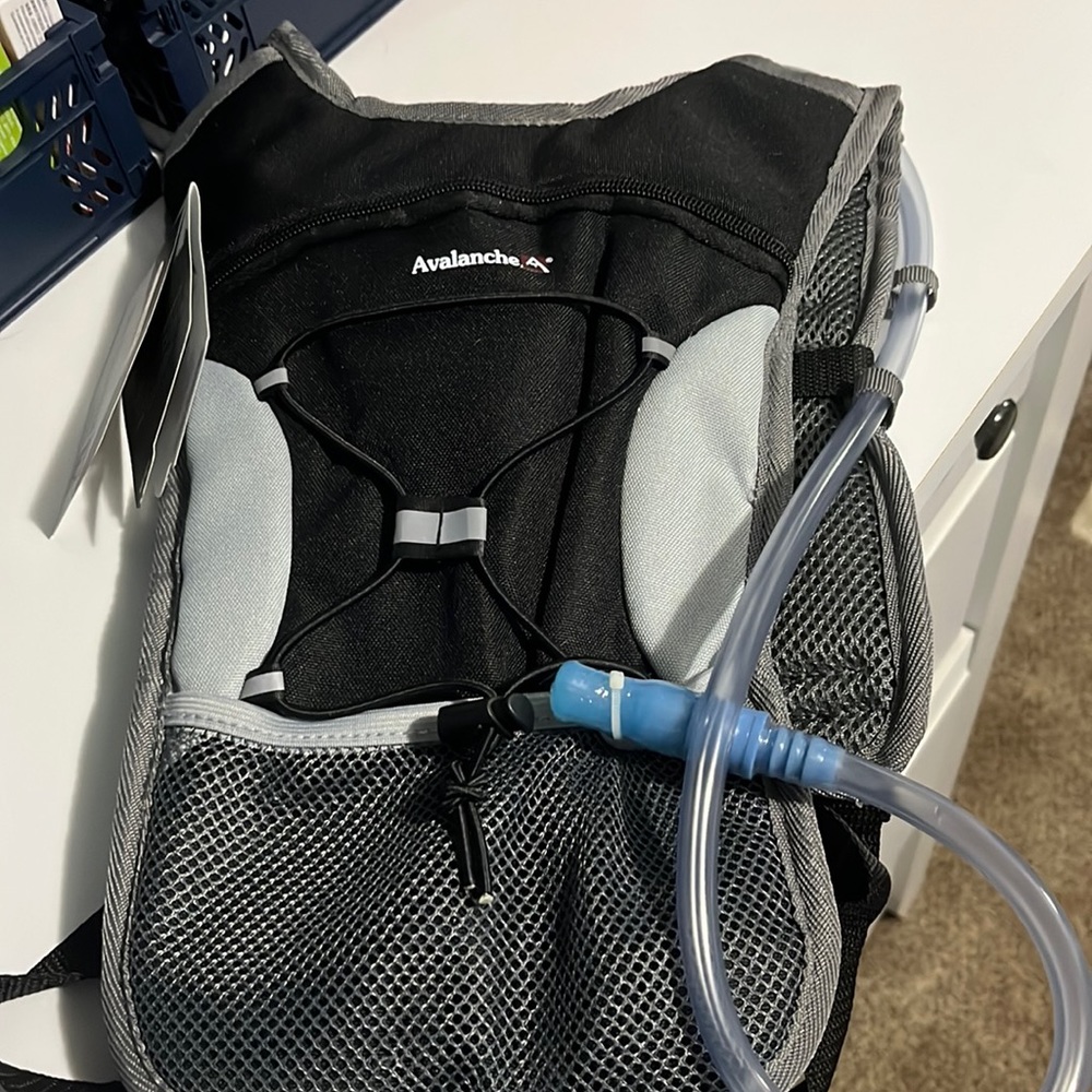 Camel Back Backpack